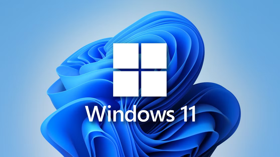 Windows 11 Pro License